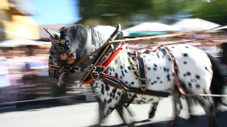 Bilder aus Berndorf