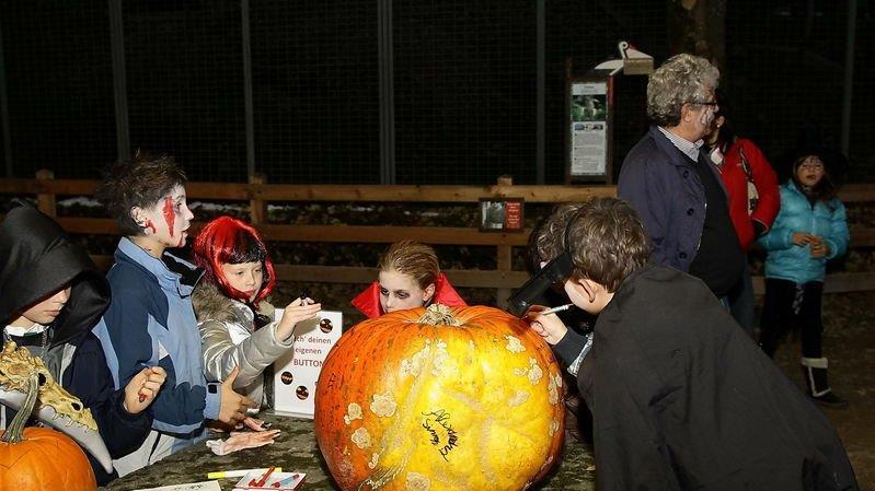 Halloween im Zoo