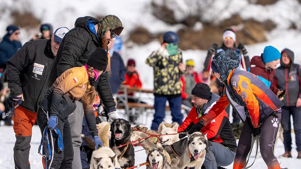 Schlittenhunderennen in Sportgastein
