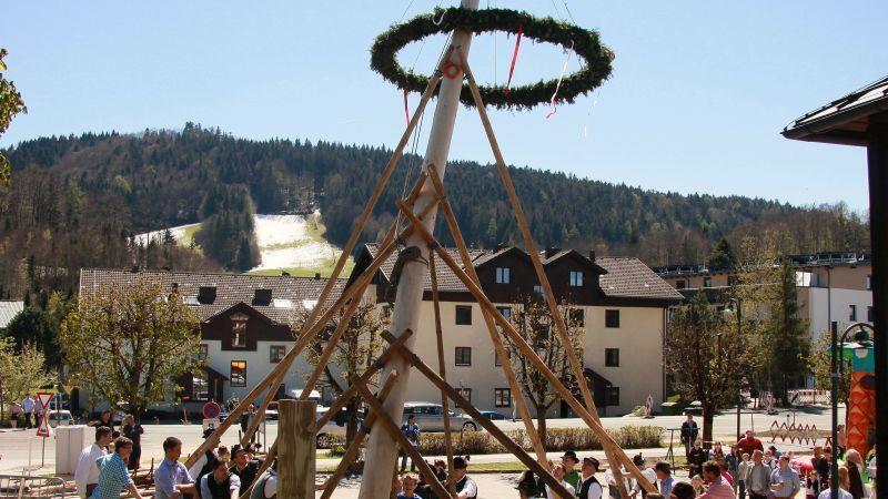 Maibaumaufstellen in Hof