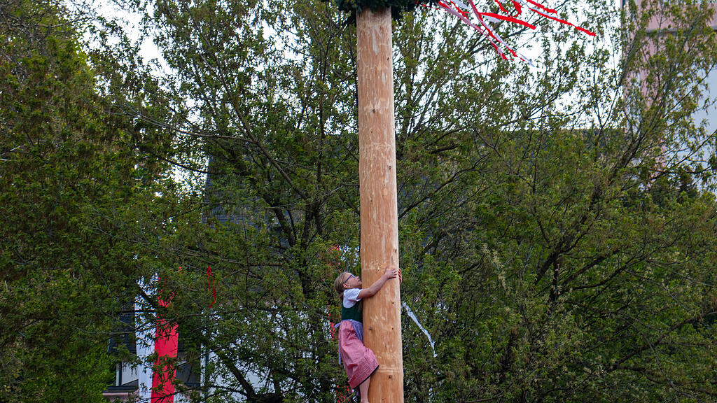 Maibaumaufstellen in Aigen