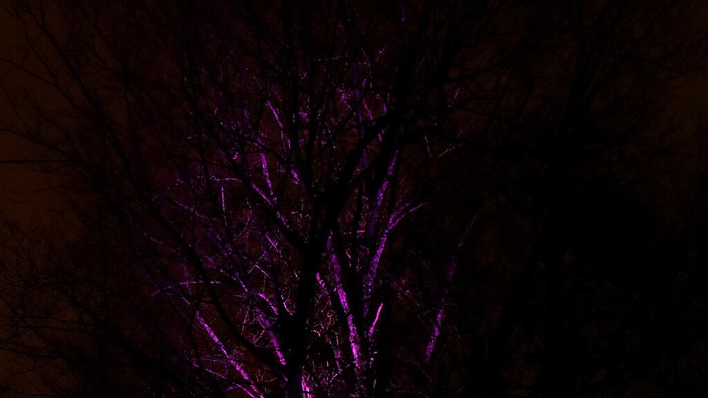20181125fmt_hellbrunn_ta_016.JPG