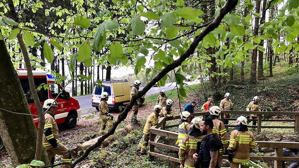 Feuerwehr Nußdorf rettet entlaufenes Kalb