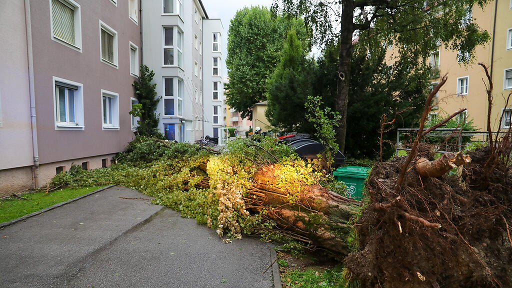 20230826_fmt_sturmschaeden_stadt_salzburg_mw-11.jpg