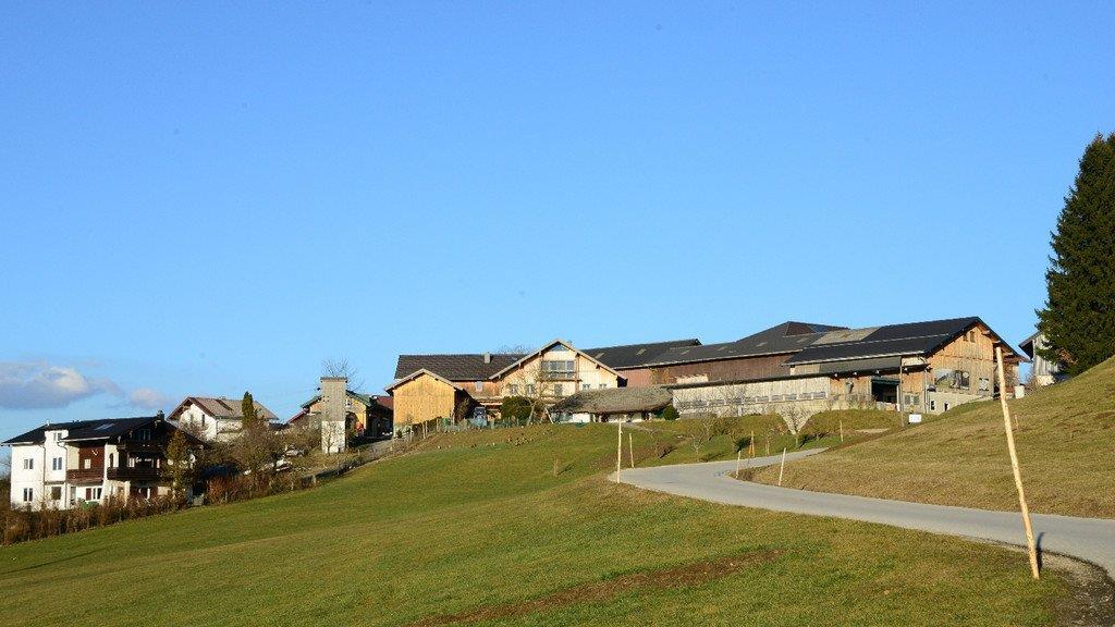 Frühlingserwachen im Flachgau