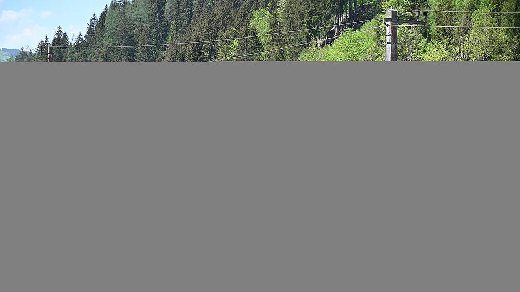 DSC_5568.JPG