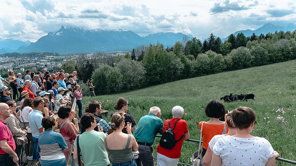 Tag der Schaf- und Ziegenhaltung in Maria Plain