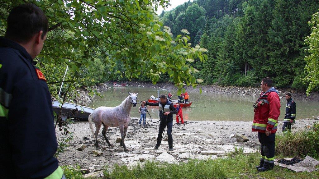 Pferderettung durch die Feuerwehr