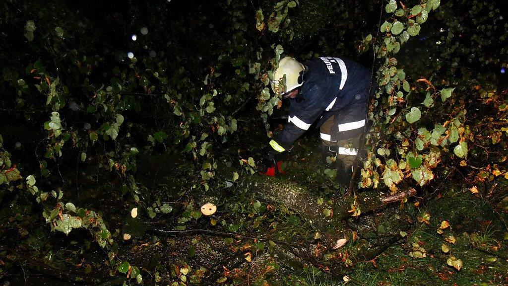Sturm über Salzburg: Umgestürzter Baum in Anif