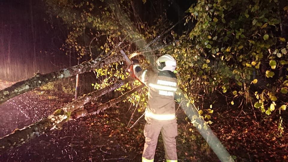 Feuerwehr Thalgau im Einsatz