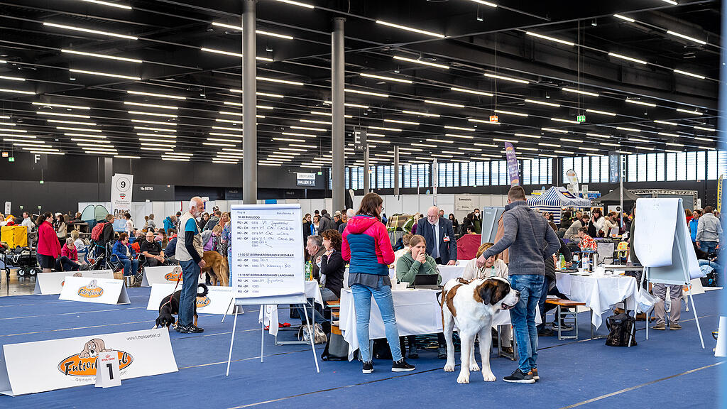 Internationale Hundeausstellung Salzburg 2022