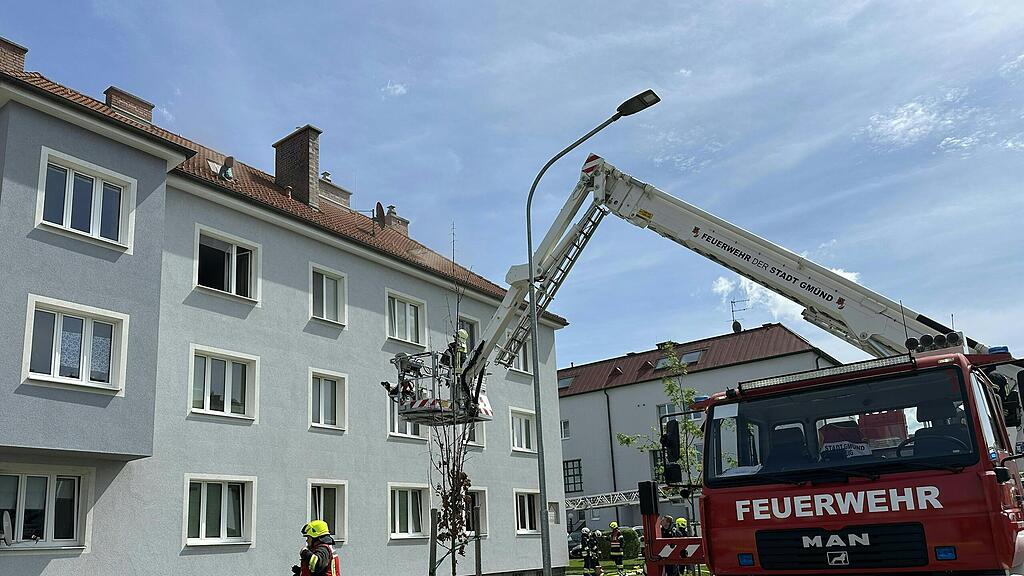 Brand Gm\u00fcnd Nieder\u00f6sterreich