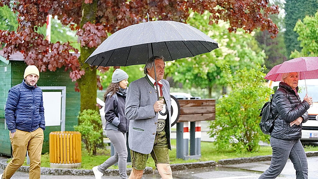 Stiegl, Maibaum