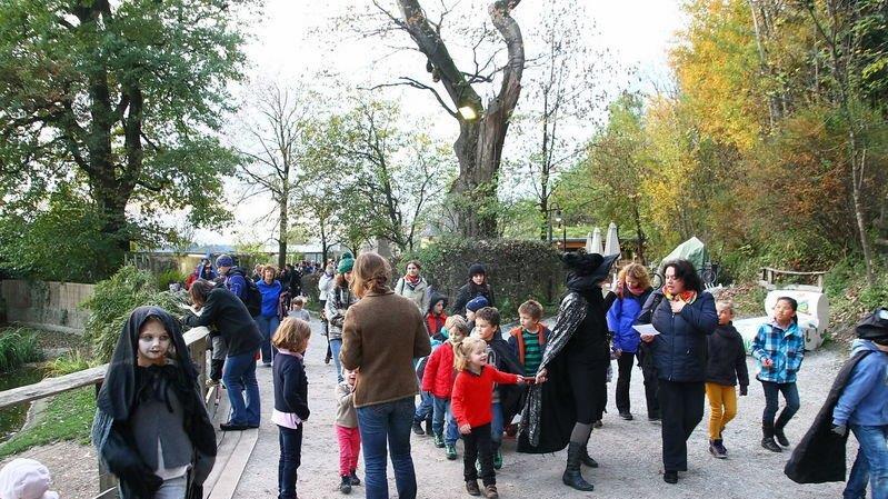 Halloween im Zoo