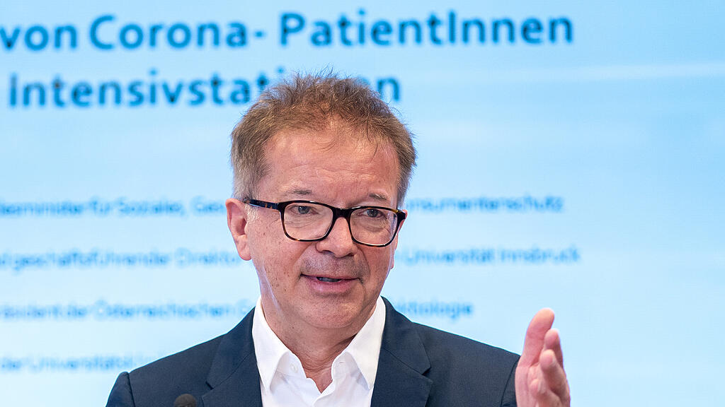 Rudolf Anschober, Grüne