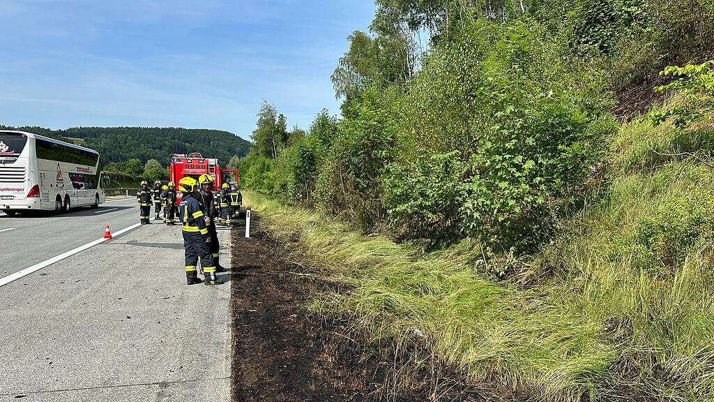 Böschungsbrand A1