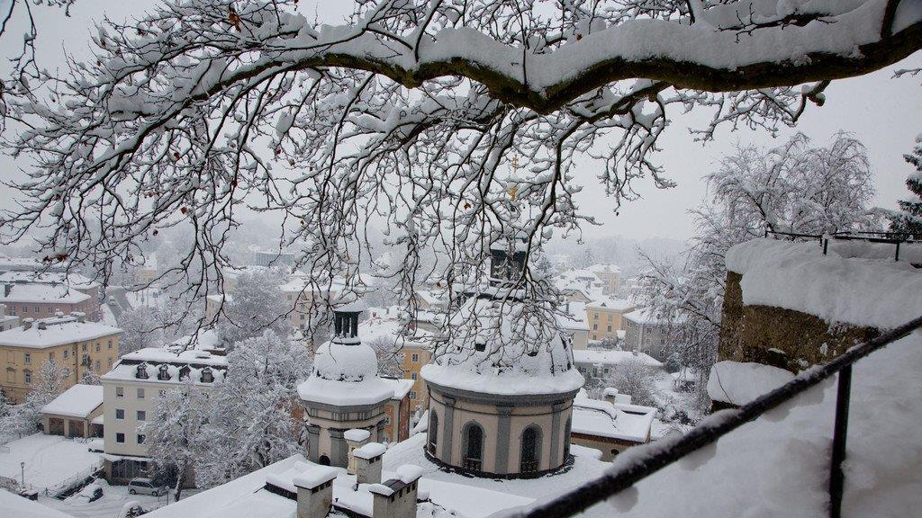 Winterimpressionen aus der Stadt Salzburg