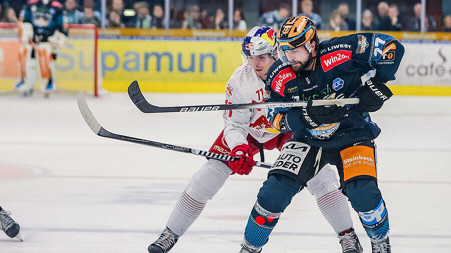 Black Wings Linz - Red Bull Salzburg