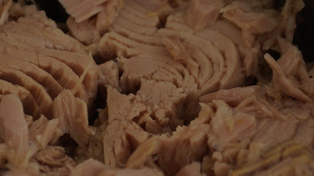 SB: Thunfisch, Konserve, Thunfischdose,