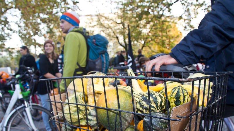 5 Jahre Critical Mass