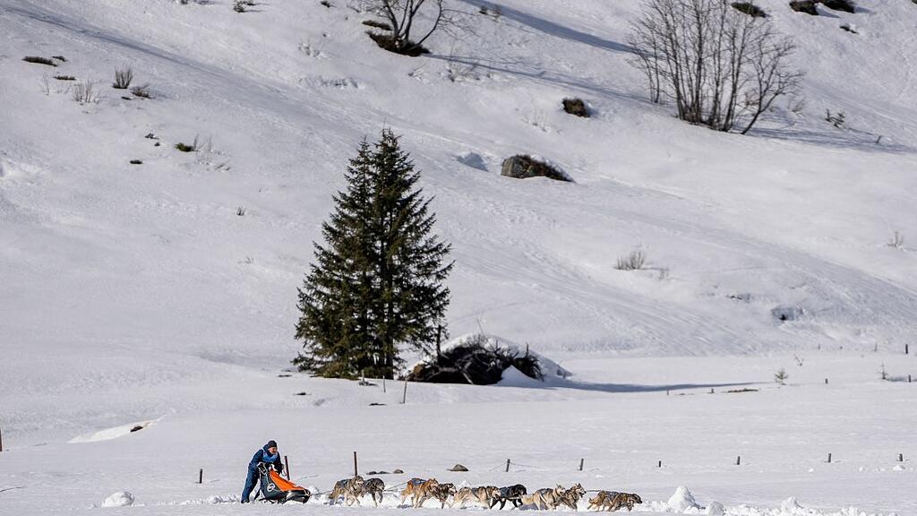 Schlittenhunde-WM in Sportgastein, Samstag