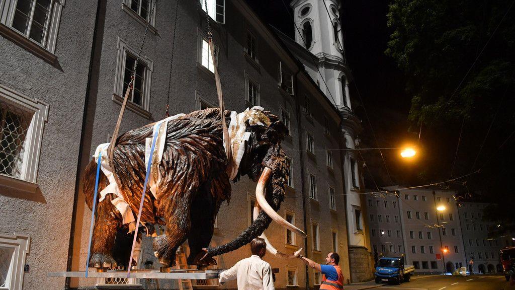 Mammut schwebt über Salzburg I