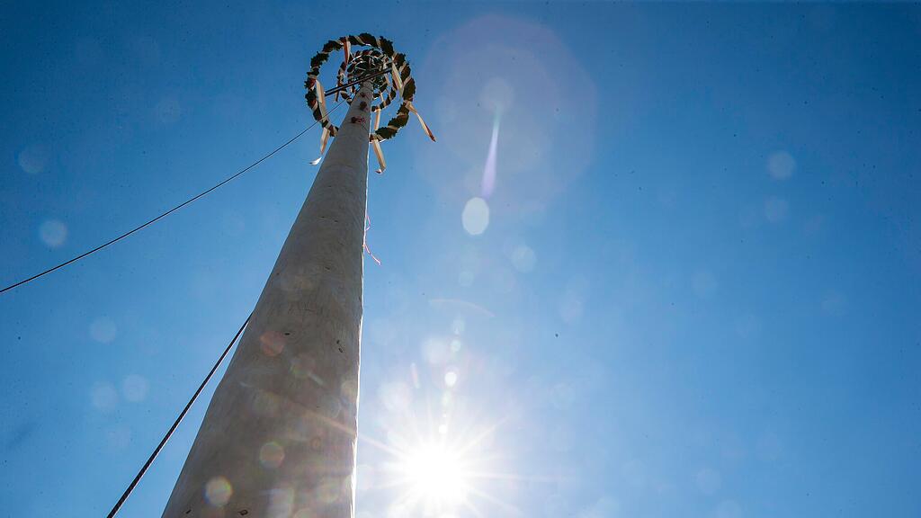 Maibaum