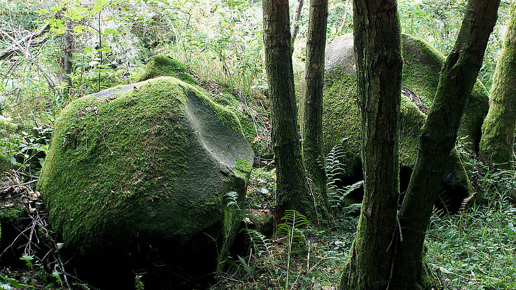 Fels, Stein, Wald, SB