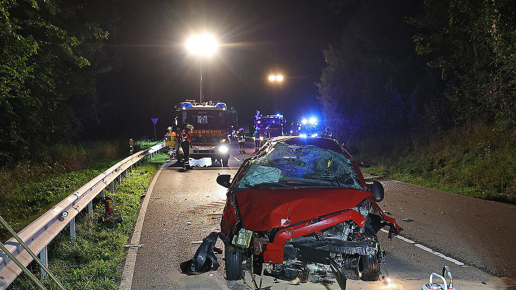 Reh_Unfall_Piding