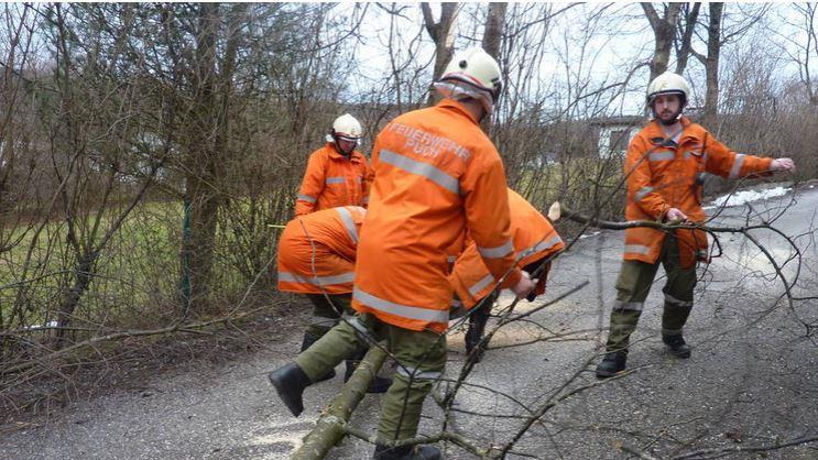 Sturm: Feuerwehr Puch im Einsatz