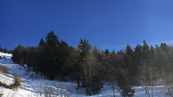 Schneebrett am Schlenken