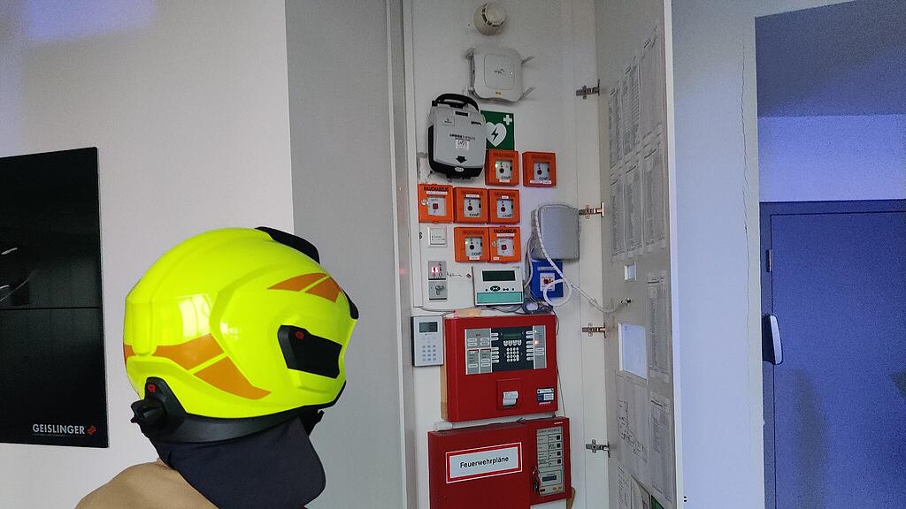 Insekt löst Feueralarm in Hallwang aus