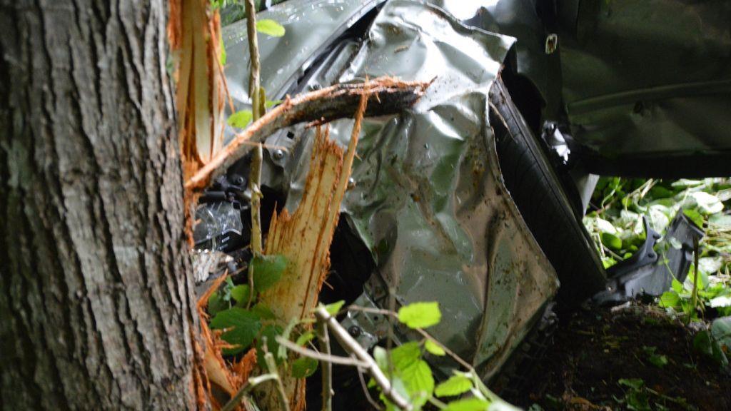 Pinzgauerinnen in Bayern verletzt, I