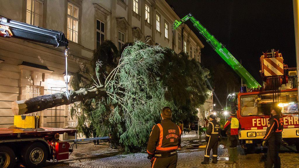 Christbaumaufstellen vor dem Schloss Mirabell