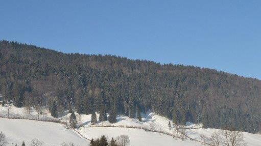 Winterspaziergang am Gaisberg
