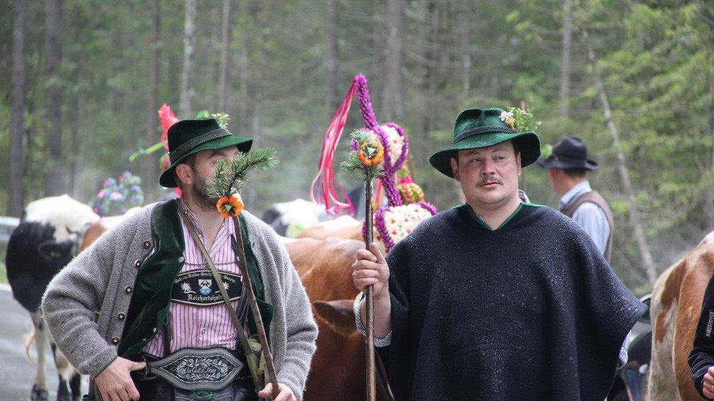 Bilder vom Almabtrieb