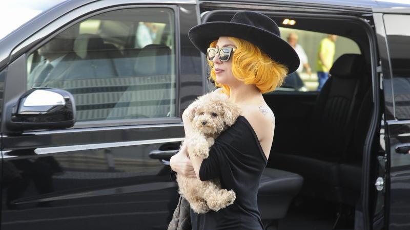 Lady Gaga und Hund: Ankunft in Wien