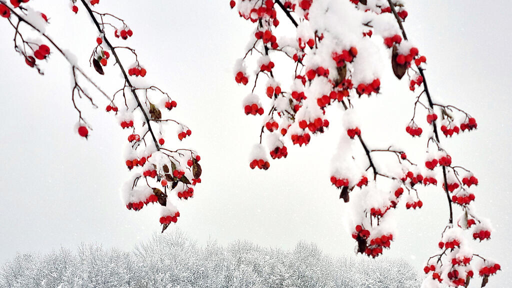 symb_winter_schnee_eis