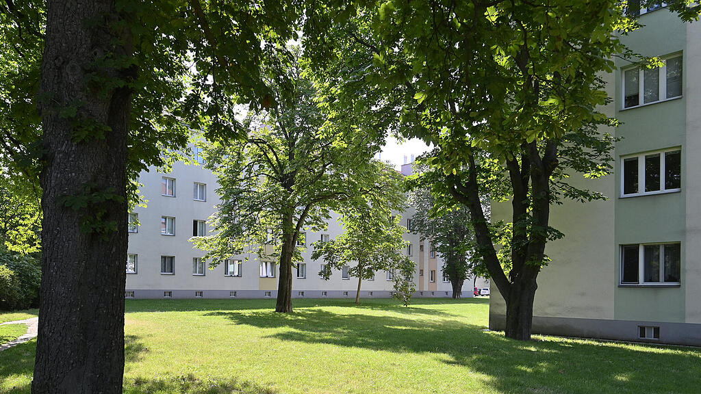 Fenstersturz, Wien