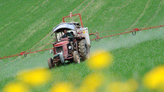 Salzburger setzen immer weniger auf Glyphosat. (Themenbild)