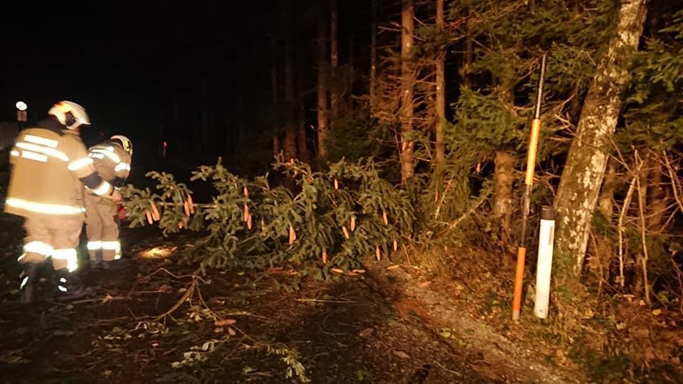 Feuerwehr Thalgau im Einsatz