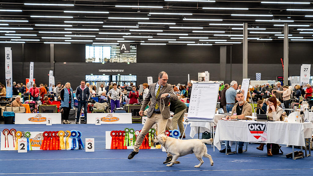 Internationale Hundeausstellung Salzburg 2022