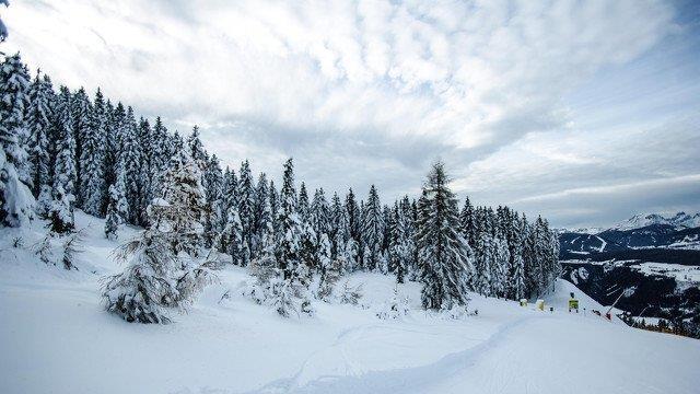 Skifahren in Schladming