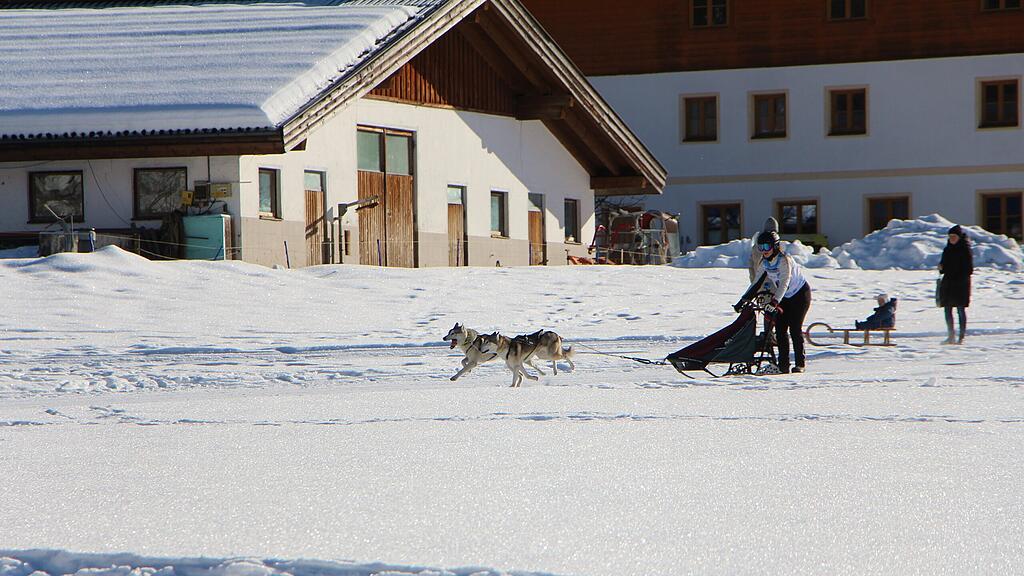 26. Schlittenhunderennen