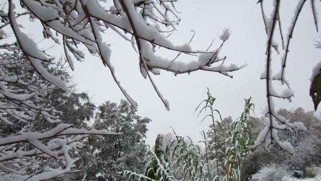 So schön kann der Winter sein