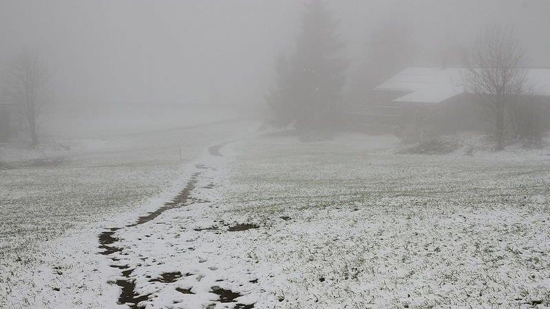 Winterimpressionen vom Gaisberg