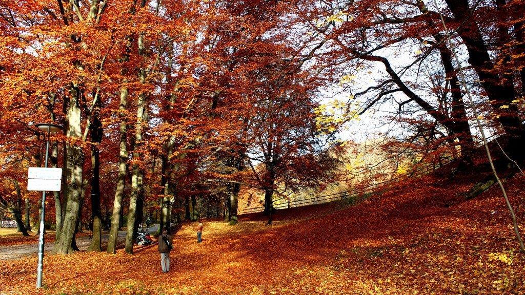 Herbst an der Isar