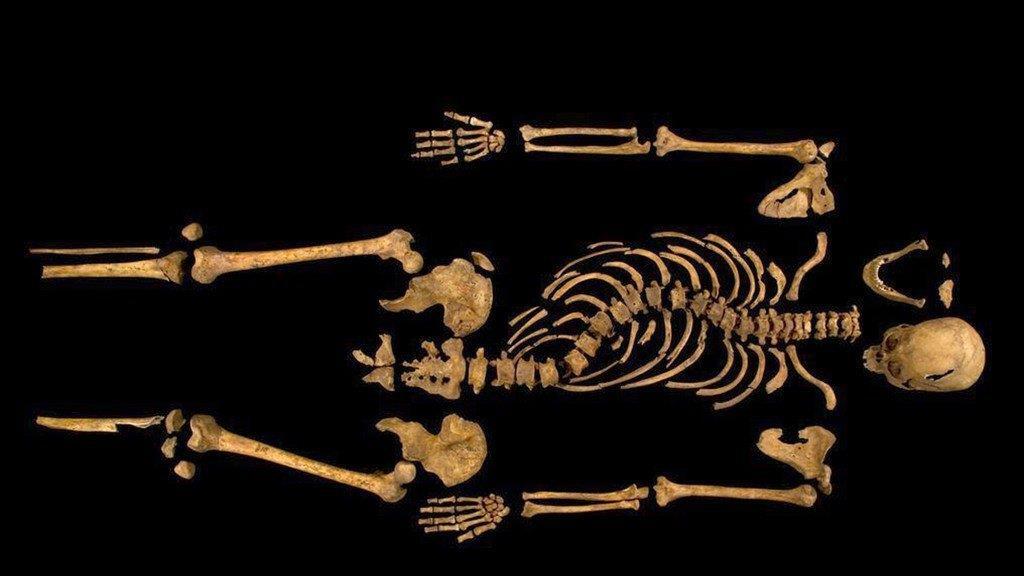 Forscher rekonstruieren Gesicht Richard III.