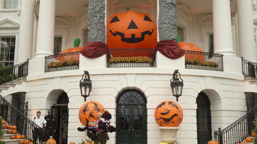 Hunde in Halloween-Kostümen