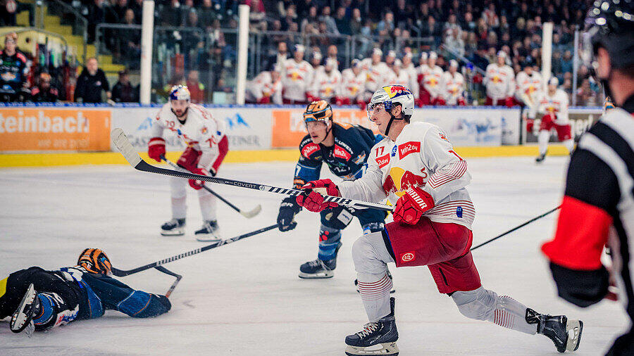 Black Wings Linz - Red Bull Salzburg